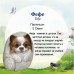 CGAS-DO009 Художественный камень авторской росписи собачка Фефе
