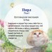 CGAS-CA017 Художественный камень авторской росписи кошка Пирл