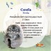 CGAS-CA002 Декоративный камень ручной росписи кот Симба