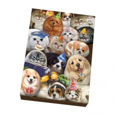 SPL1-27A Карты игральные пластиковые с кошками и собаками Henry Cats and Friends